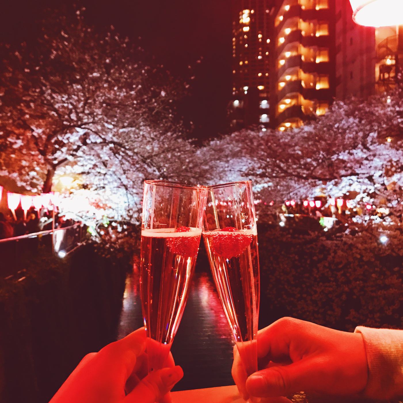 Two hands raising glasses with strawberries in front of illuminated cherry blossoms along a river at night