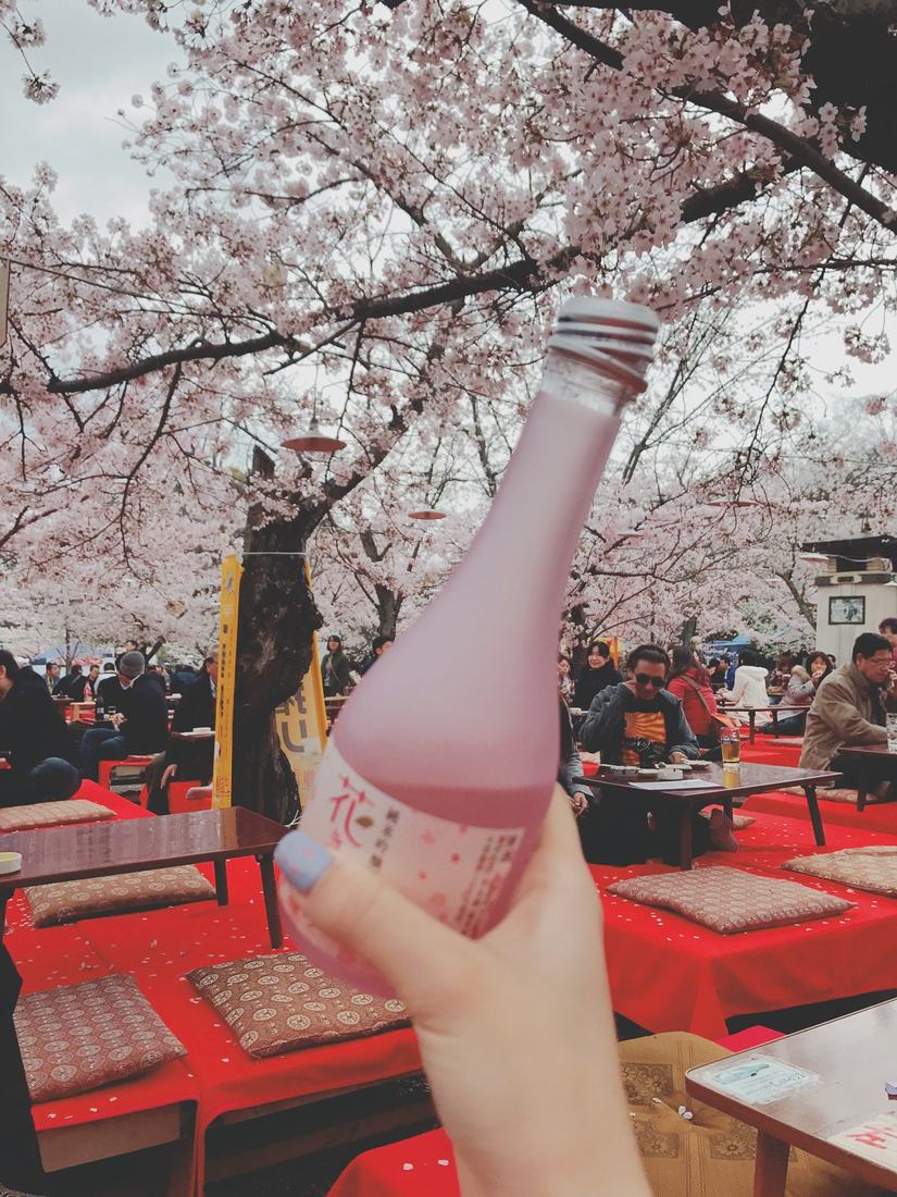A hand raising a pink bottle beneath cherry blossoms, with people seated at red-covered tables behind